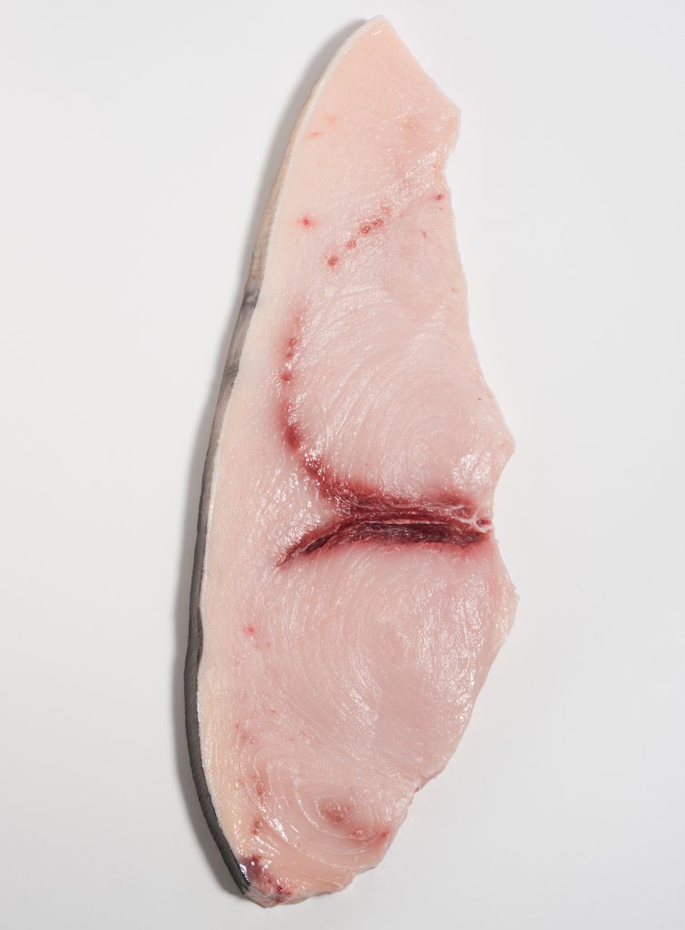 Fresh Swordfish Steaks • Harbor Fish Market