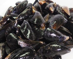 PEI Mussels