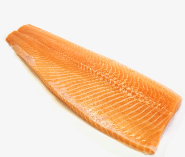 Fresh North Atlantic Salmon Fillet Harbor Fish Market