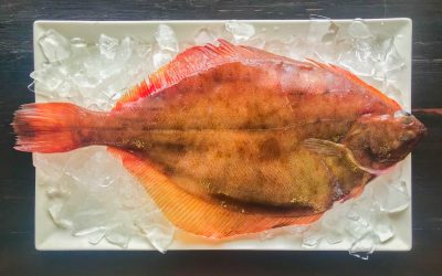 Flounder: Everything you need to know