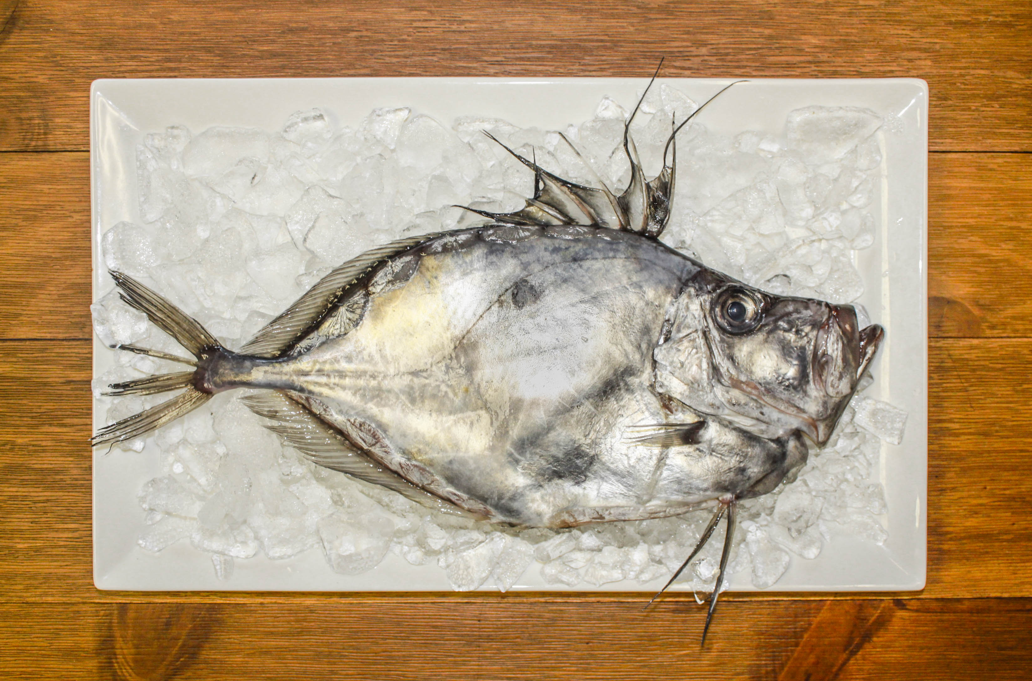 John Dory Fish Recipe