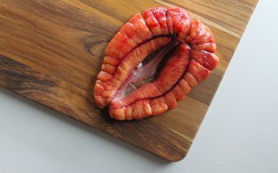 Shad Roe: What is it?