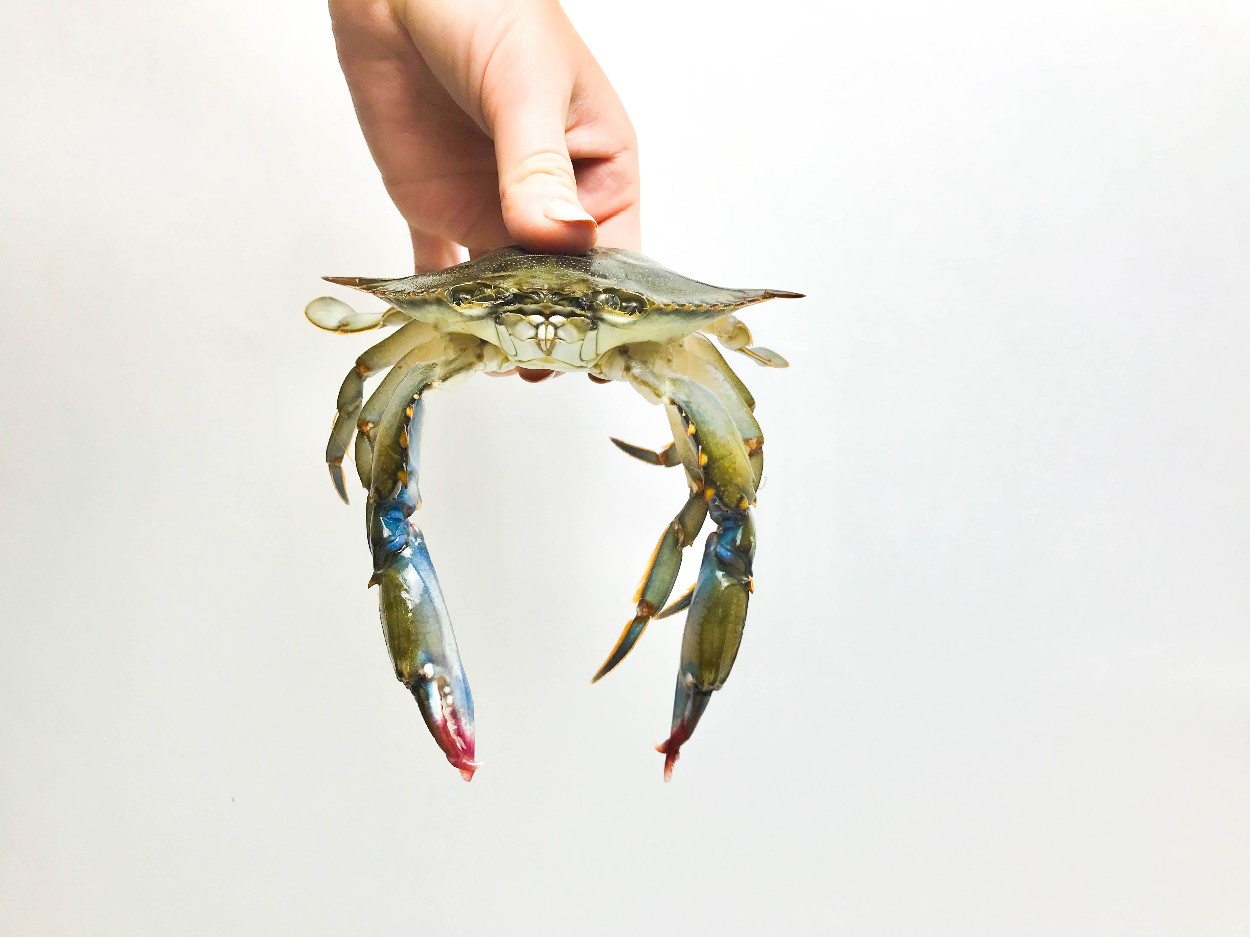 What Does Soft Shell Crab Taste Like? 