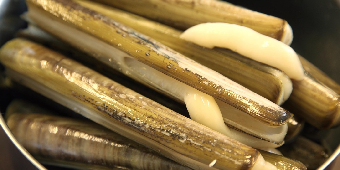 All About Razor Clams • Harbor Fish Market