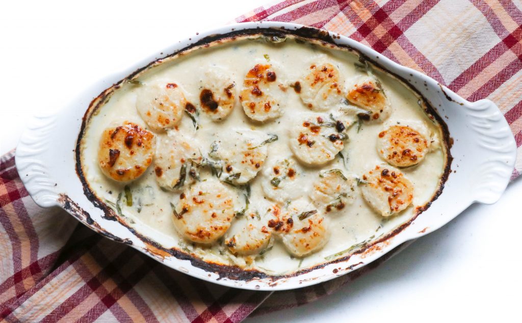 Maine Scallop Gratin • Harbor Fish Market