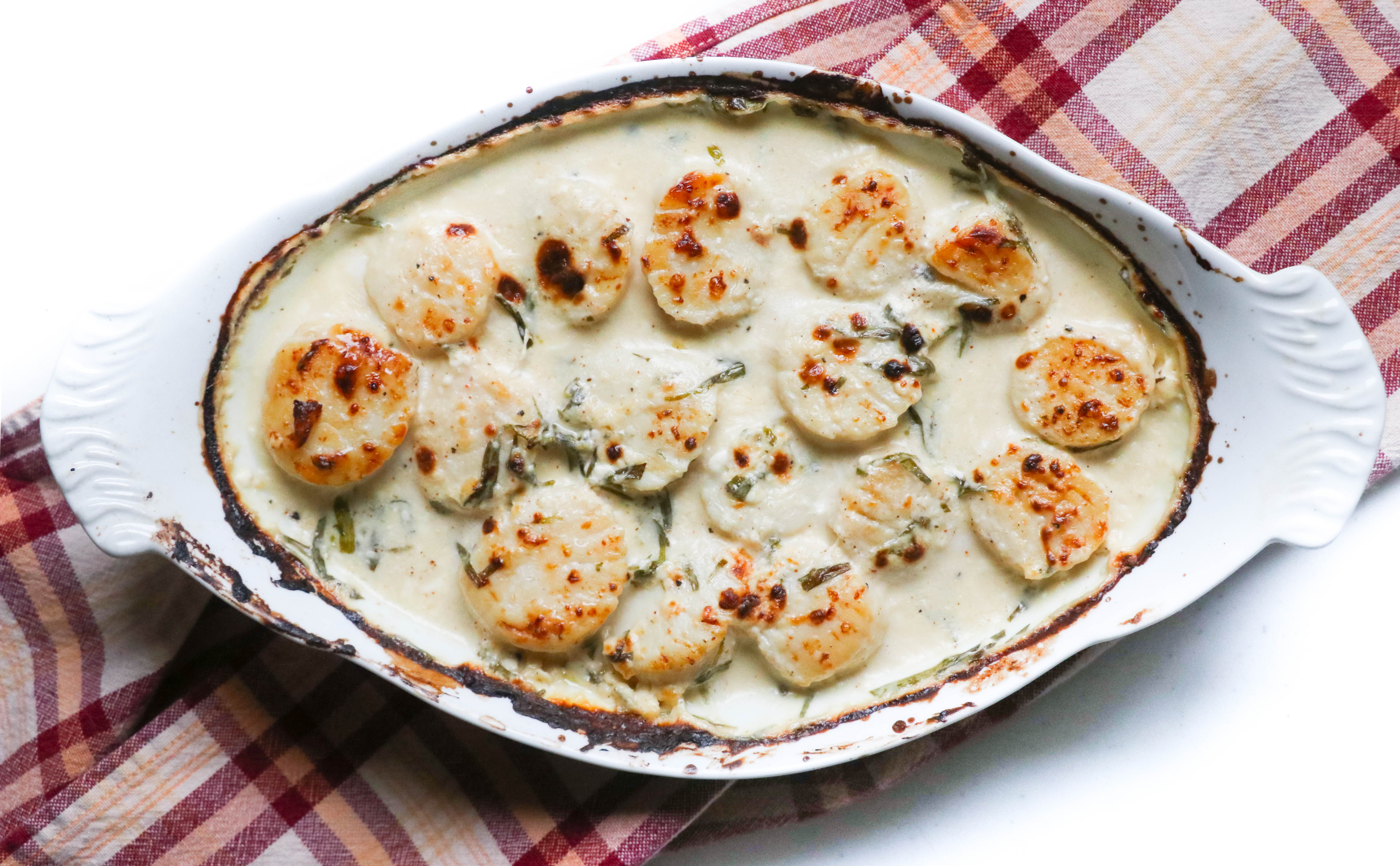 Maine Scallop Gratin • Harbor Fish Market