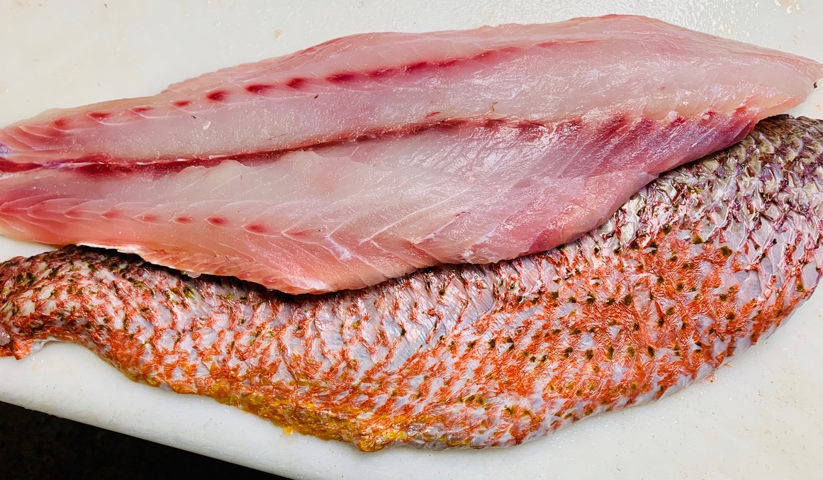 Fresh Red Snapper Fillet • Harbor Fish Market