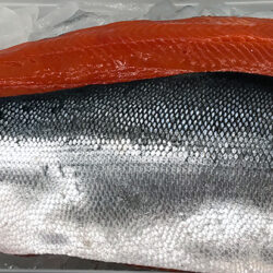 Sockeye Fillet