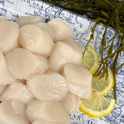 Raw Shell-on Shrimp (Thawed) • Harbor Fish Market